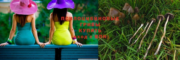 ешки Горно-Алтайск